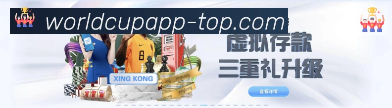 未来规划